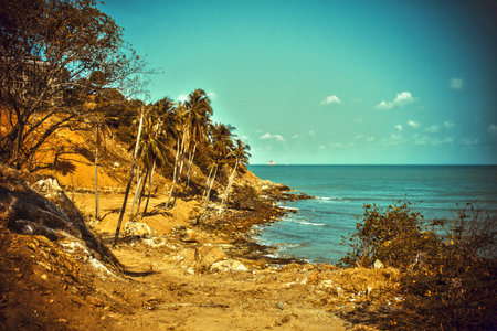 Vintage image of tropical beachの写真素材