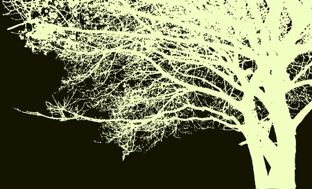 Big tree and branches silhouette. Detailed vector backgroundのイラスト素材