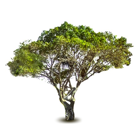 Green tree. Vectorのイラスト素材