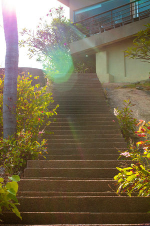 stone stairs on sunlight in the parkの写真素材