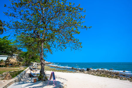 Beautiful tropical beach with trees and sunbeds in Koh Samui