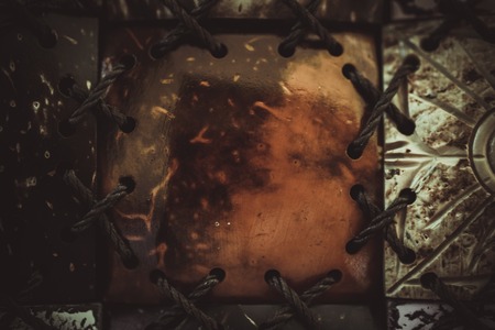 Texture of the pieces Of coconut.の写真素材