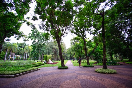Green park in the spring.の写真素材
