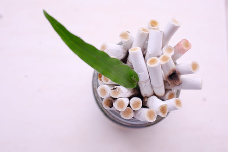 Green plant and ashtray. Say No to Cigarettesの写真素材
