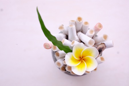 Green plant with flower and ashtray. Say No to Cigarettesの写真素材