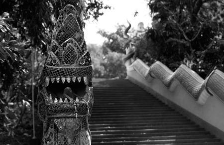 Old stairs in the jungle with dragonの写真素材