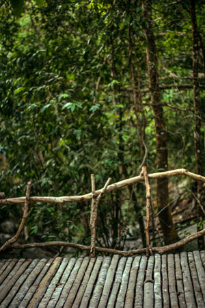 Green forest with wooden floor background
