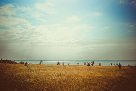 Calm sunny beach with dunes and grass. Baltic sea in the background. Vintage