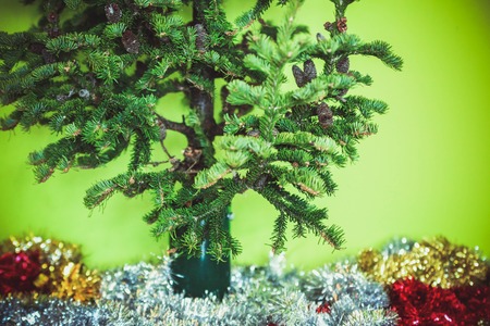 Christmas tree with cones without toys but with tinsel on green backgroundの写真素材