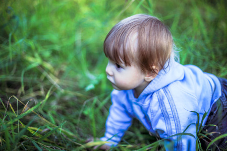 Little baby boy creeps at the sunny park in grassの写真素材
