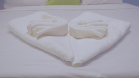 Towel swan in a hotel room or cruise cabin on the bedの写真素材