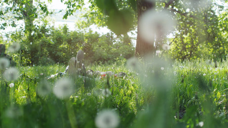 Two friends feet lying on grass in the park on sunny summer dayの写真素材