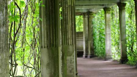Beautiful architectural colonnade in Catherine parkの写真素材