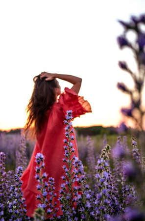 Young pretty woman wearing red dress posing in fields with violet flowers outdoorの写真素材