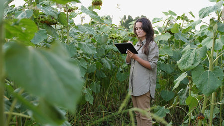 Farmer girl working with tablet in sunflower field inspects blooming sunflowers, business woman...