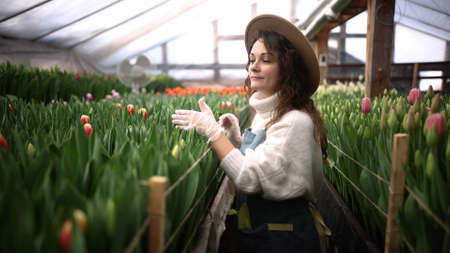 Attractive young woman florist or agronomist in work clothes, hat and apron takes care of flowers in large glass greenhouse.の写真素材