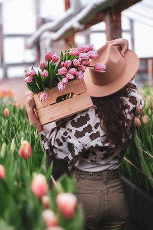 Young girl farmer in hat holds a box with bouquets of tulips of in her hands. Caucasian woman demonstrates the products of a small family-owned flower growing businessの写真素材