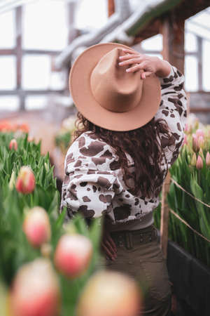 Young beautiful woman in hat posing looks at flowers in a greenhouse Tulipsの写真素材