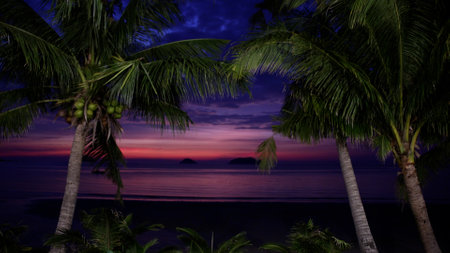 Beautiful sunset with palm tree on the ocean beach. Tropical sunset with palm trees. The big palm tree over the sea,の写真素材