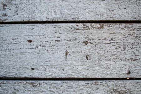 Old wood texture background. Floor surface. White wood texture background. Wood plank texture.の写真素材