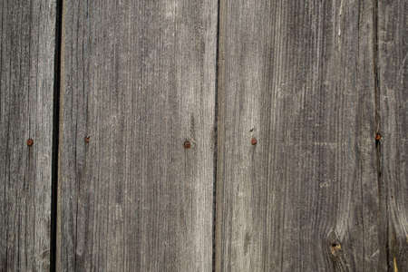 Wooden background with knots and nail holes. Wooden planks.の写真素材
