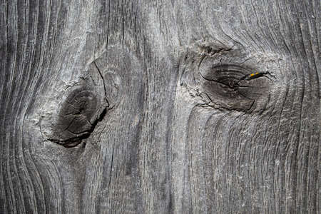 Close-up of old wooden planks. Wood texture background.の写真素材