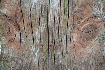 Old wood texture. Wood background. Wood texture with natural patterns.の写真素材
