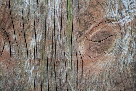 Old wood texture. Floor surface. Old wood texture. Wood background.の写真素材