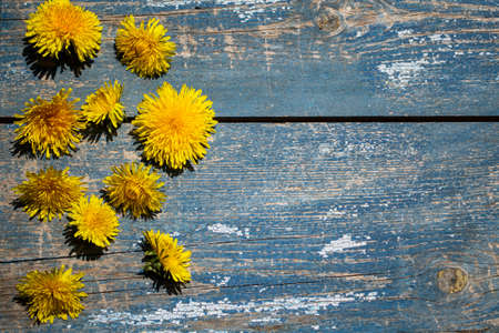 Dandelion flowers on wooden background. Top view with copy space.の写真素材
