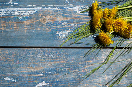 Bouquet of dandelions on a wooden background. Copy space.の写真素材