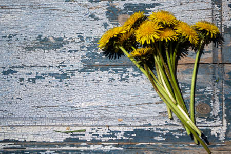 Bouquet of yellow dandelion flowers on old wooden backgroundの写真素材