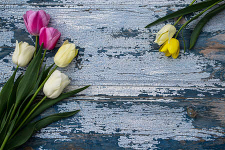 Bouquet of tulips on a wooden background. Top view.の写真素材