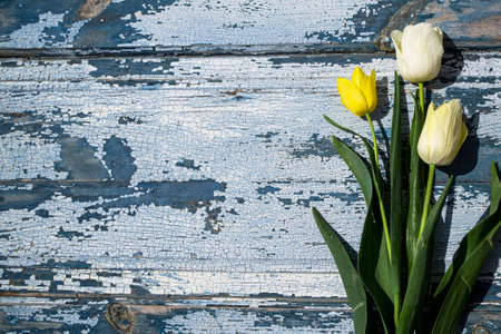 Tulips on rustic wooden background with copy space for textの写真素材