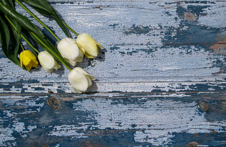 Bouquet of tulips on a wooden background.の写真素材