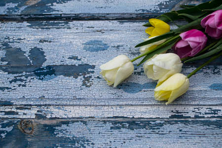Bouquet of tulips on a blue wooden background. Copy space.の写真素材