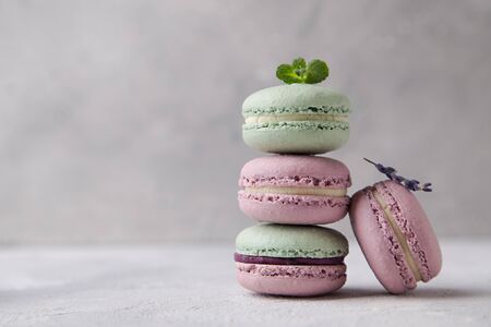 Sweet lavender, mint and pistachio macaroons on lightの写真素材
