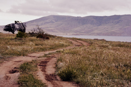 Road in the desert