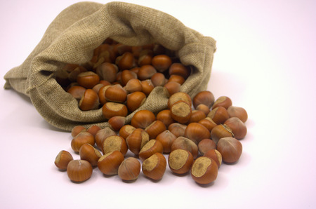 hazelnuts in a bagの写真素材