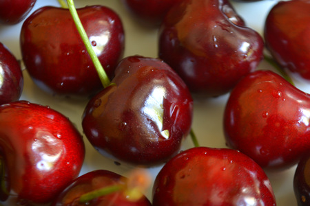 Cherries in the plate. Summer berryの写真素材