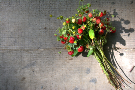 Bouquet of wild strawberry on a wooden background. Copy spaceの写真素材