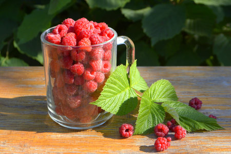 Raspberry in a glassの写真素材