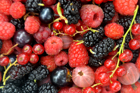 Fresh organic summer berries background. Cherry, currant, raspberryの写真素材