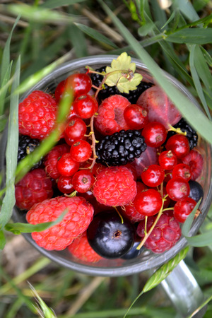 Fresh organic summer berries in a cup. Currant, raspberry, mulberryの写真素材