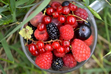 Fresh organic summer berries in a cup. Currant, raspberry, mulberry. Top viewの写真素材