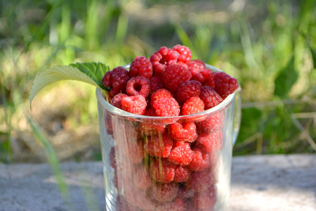 Raspberry in a glassの写真素材