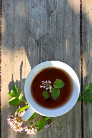 Herbal tea with oreganoの写真素材