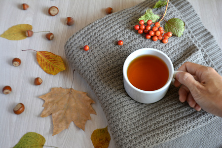 A cup of hot tea on a wool blanket. Autumn or winter warming drink. Autumn conceptの写真素材