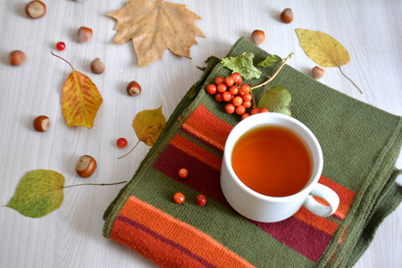 A cup of hot tea on a wool blanket. Autumn or winter warming drink. Autumn conceptの写真素材