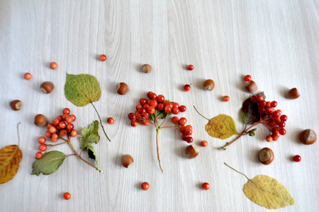 Autumn background. Apples, berries, nuts on a wooden background. Autumn conceptの写真素材