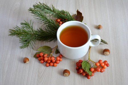 A Cup of hot tea, berry, fir branch on the table. Autumn or winter warming drink. Autumn conceptの写真素材